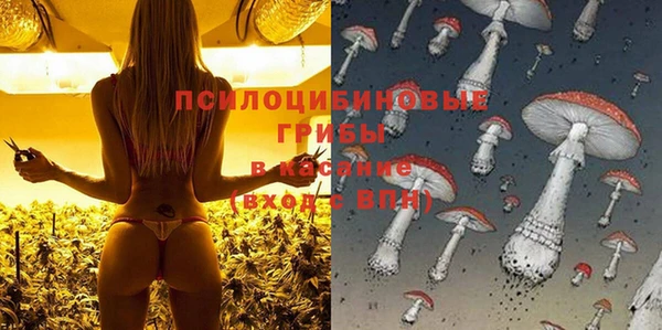 мескалин Михайлов