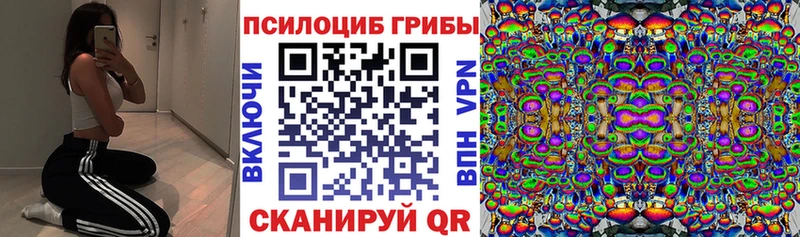 Галлюциногенные грибы MAGIC MUSHROOMS  Купить закладки  Ржев 